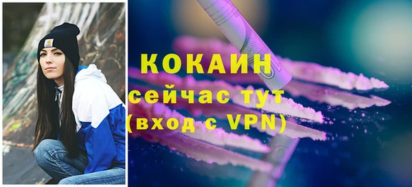 apvp Верея