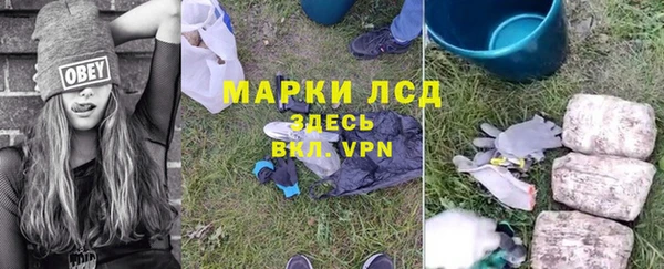 apvp Верея