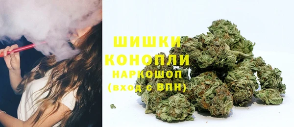apvp Верея