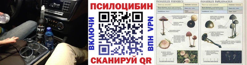купить наркотики сайты  Рязань  Галлюциногенные грибы MAGIC MUSHROOMS 